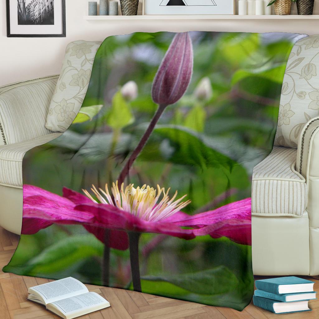 Blanket Clematis 9018