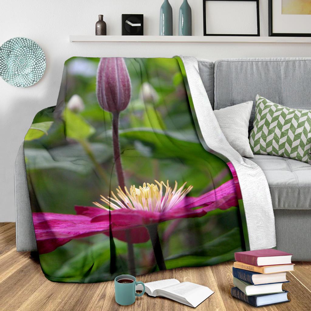 Blanket Clematis 9018