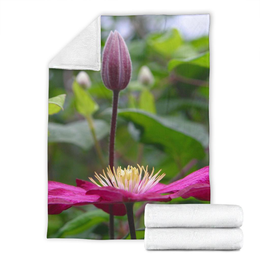 Blanket Clematis 9018