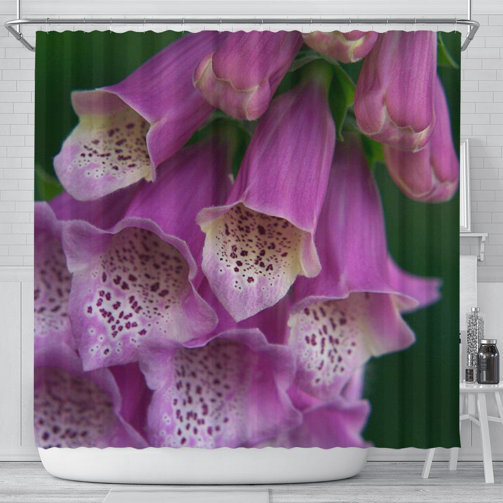 Foxglove 2683