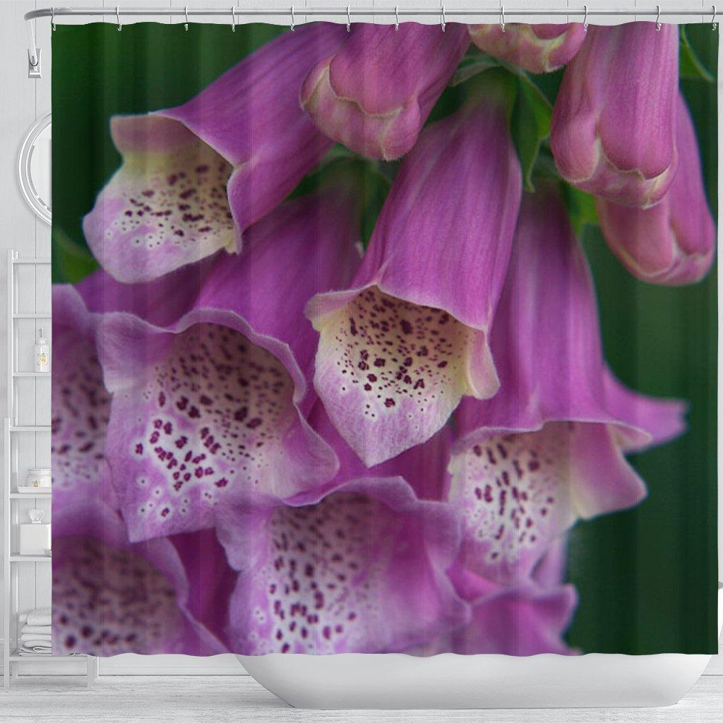 Foxglove 2683