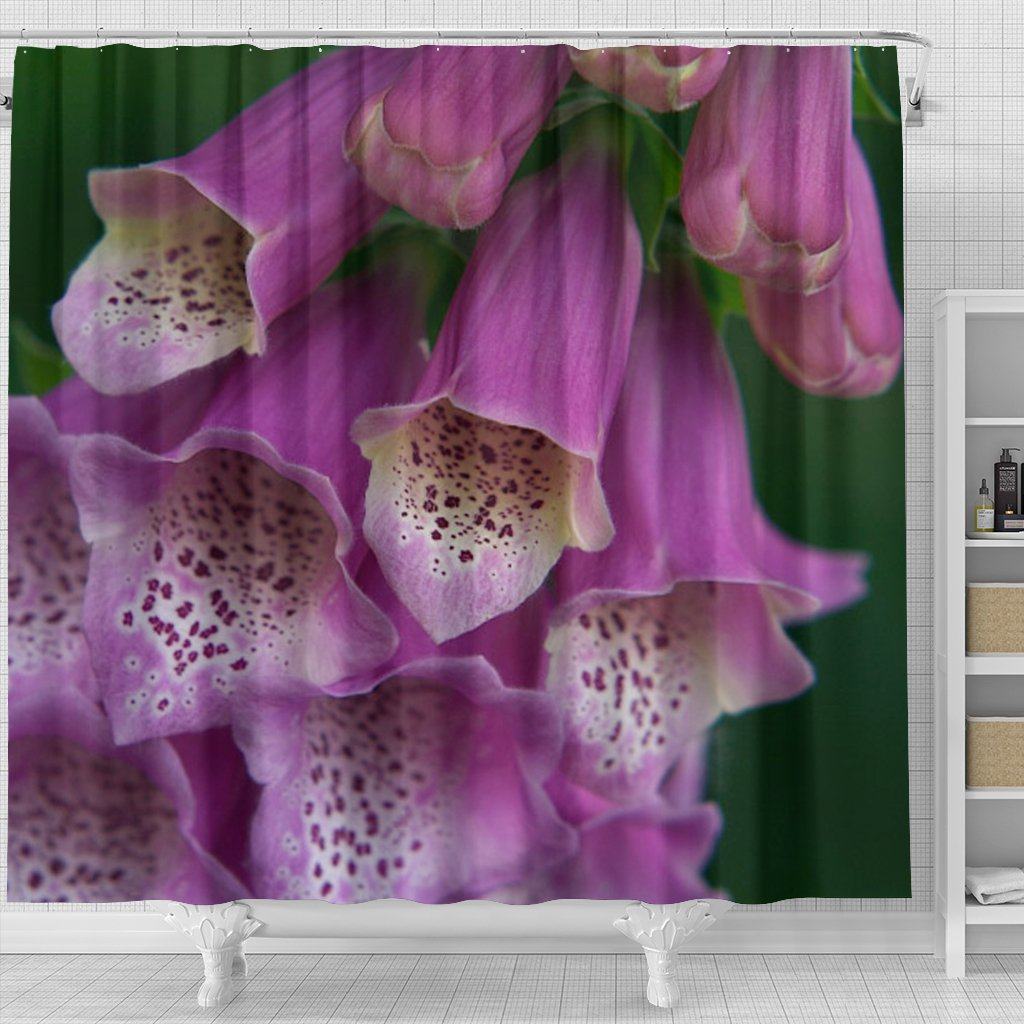 Foxglove 2683