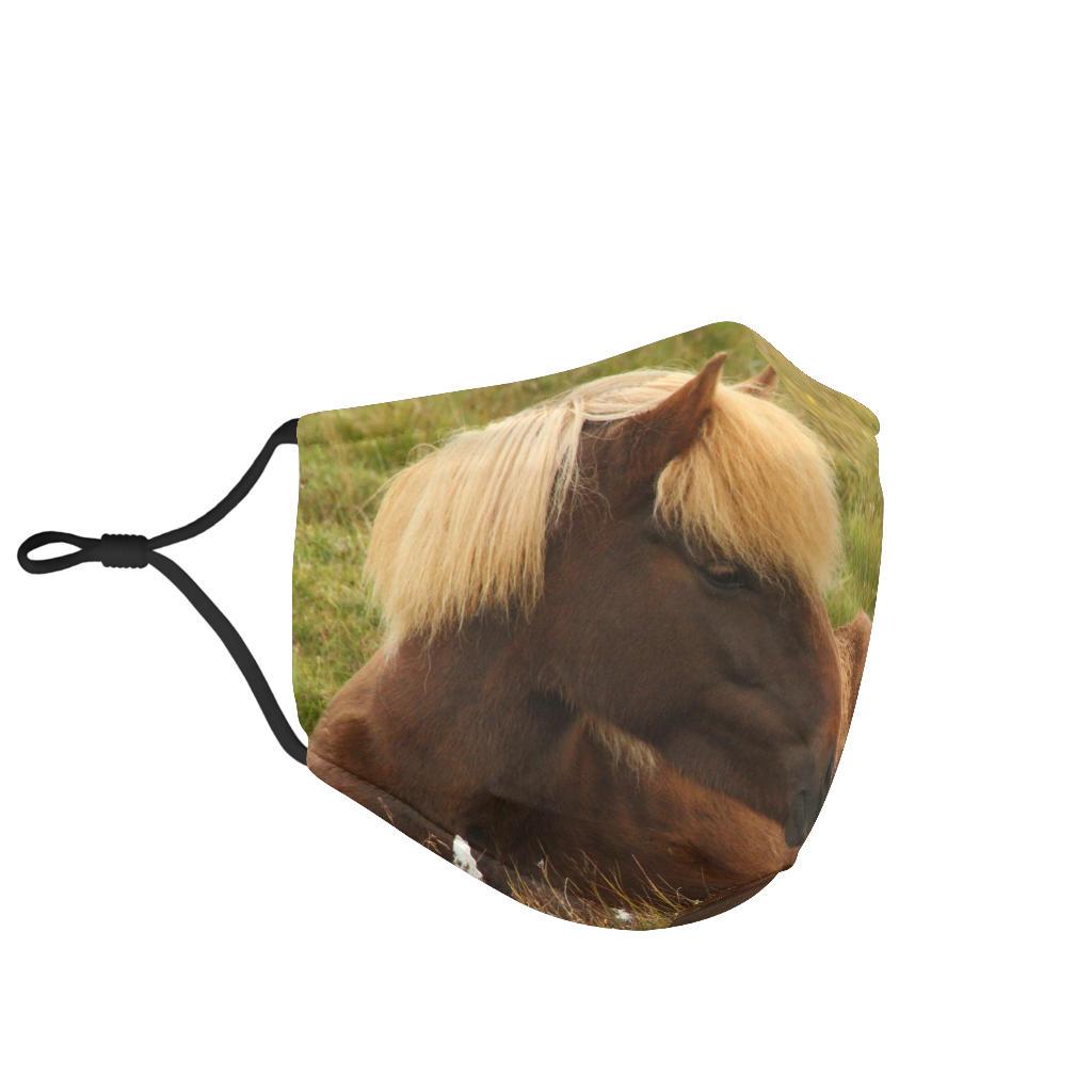 Icelandic Horse 2412